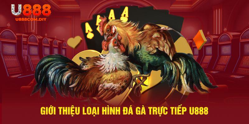 Các loại hình chọi hot hit có mặt tại trang đá gà U888